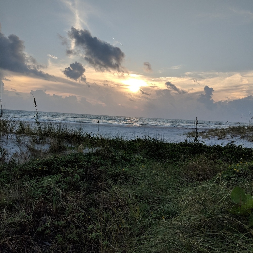 Meet your Posher, Jude